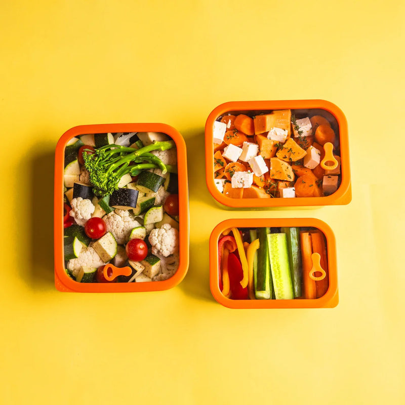 Elephant Box - Prep & Store Containers - 2.4 Litre